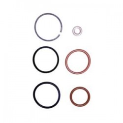 Ligas Para Inyector Navistar De-466e (421220)