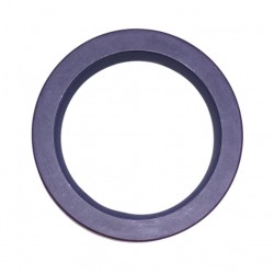 Reten Cigueñal Delantero Big Cam (136000)