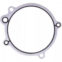 Junta Compresor Isx (131659)