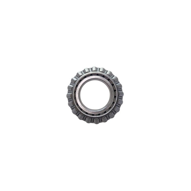 Cono (55212cwor)