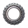 Cono (55212cwor)
