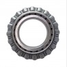 Cono (55212cwor)